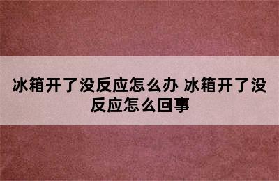 冰箱开了没反应怎么办 冰箱开了没反应怎么回事